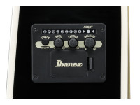 Ibanez ALT50FA-TVT Ibanez ALT50FA-TVT